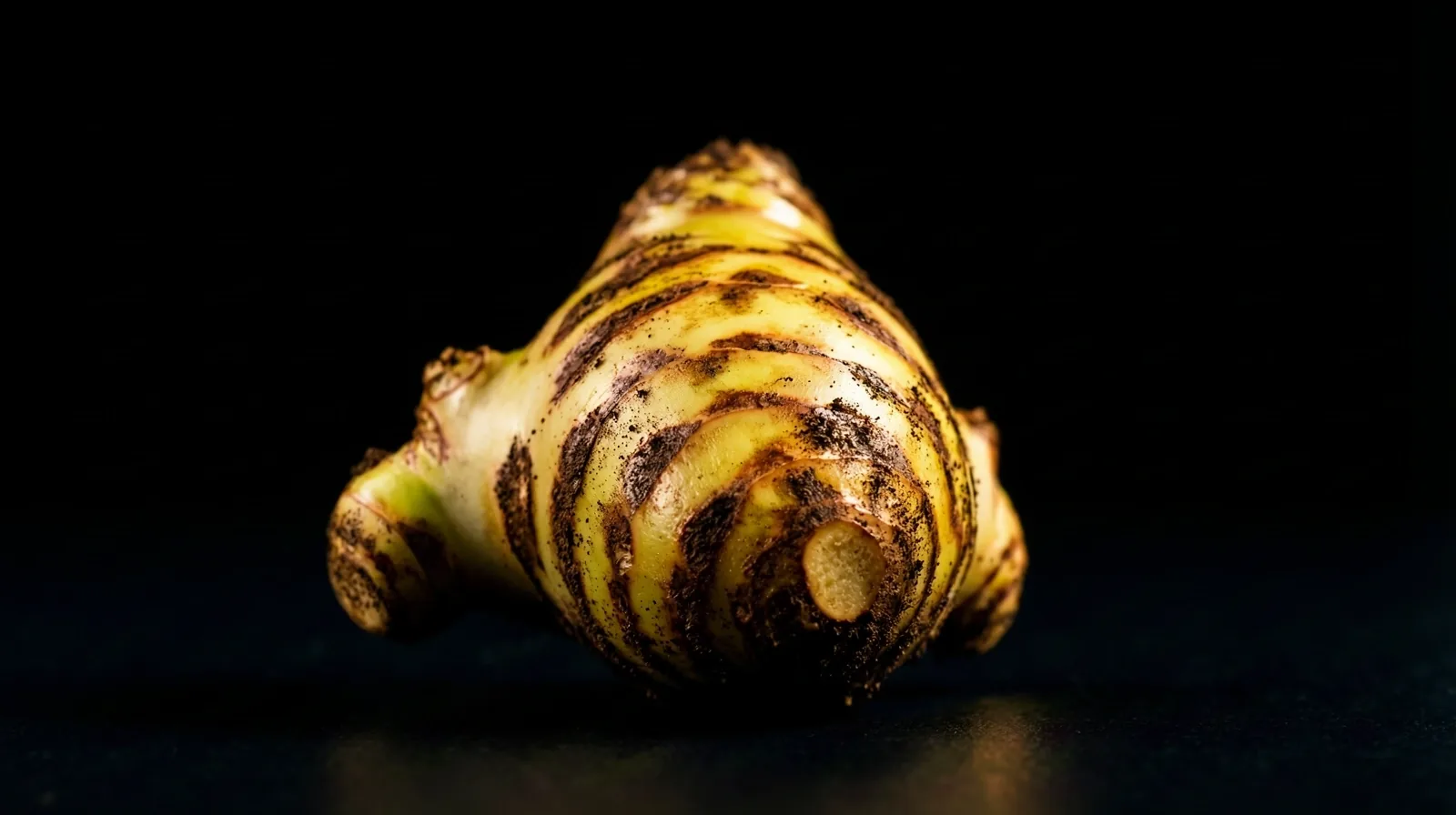 Traditional Malaysian Botanical Specimen